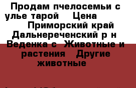 Продам пчелосемьи с улье тарой. › Цена ­ 100 000 - Приморский край, Дальнереченский р-н, Веденка с. Животные и растения » Другие животные   